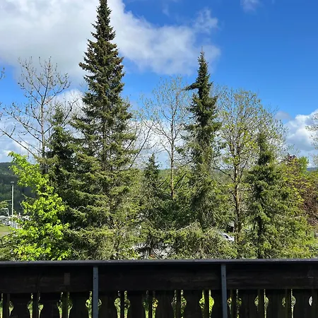 Pension Mountain View Sauerland-2